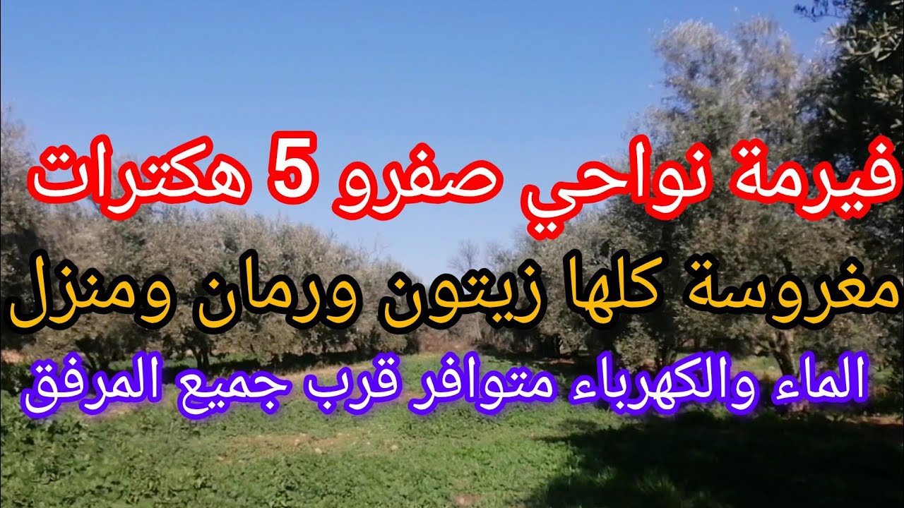 أرض فلاحية نواحي صفرو مغروسة كلها زيتون منزل 5 هكترات تيتر محفضة