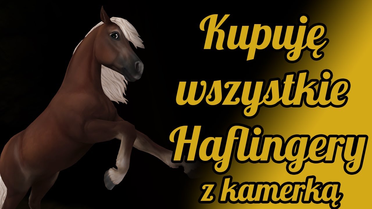 [SSO] 📷 Kupuje wszystkie Haflingery z kamerką! 📷