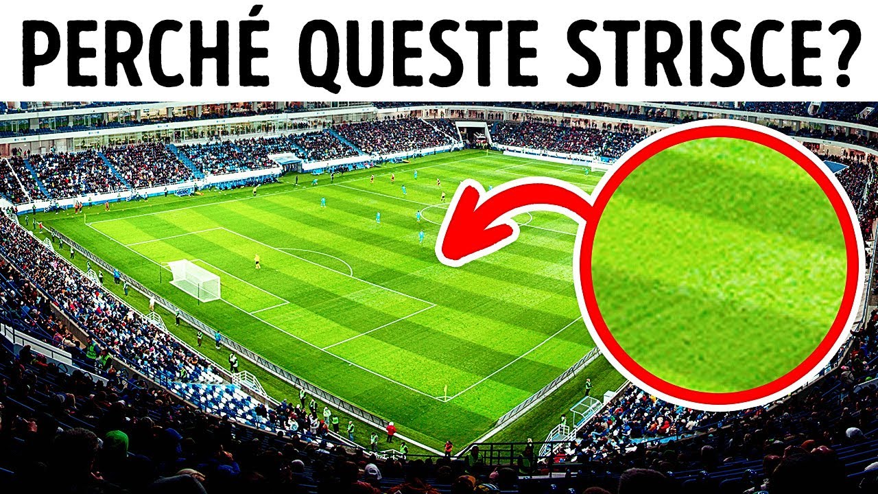 Perché I Campi Da Calcio Sono A Strisce + 15 Altre Curiosità Sul Calcio