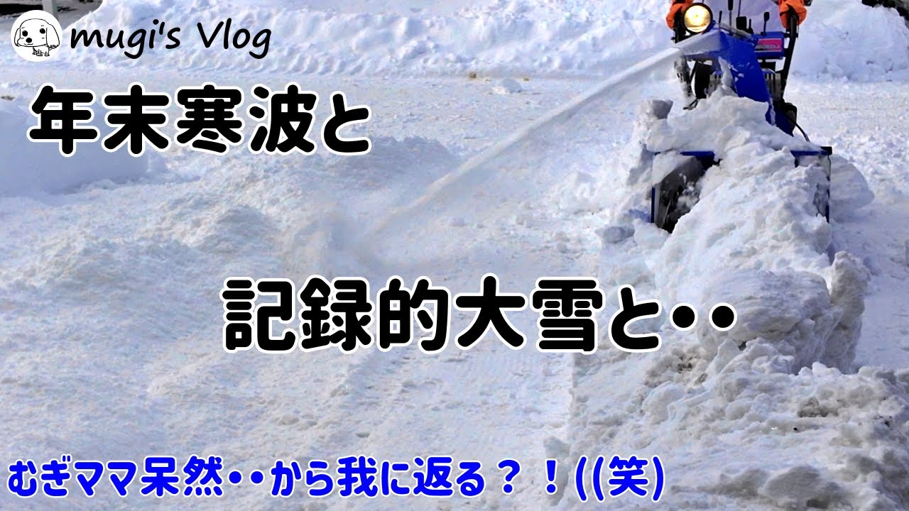 【除雪機を使った雪かき】むぎママも呆然とする大雪・・青い除雪機を使って大雪も一時間で処理しました！