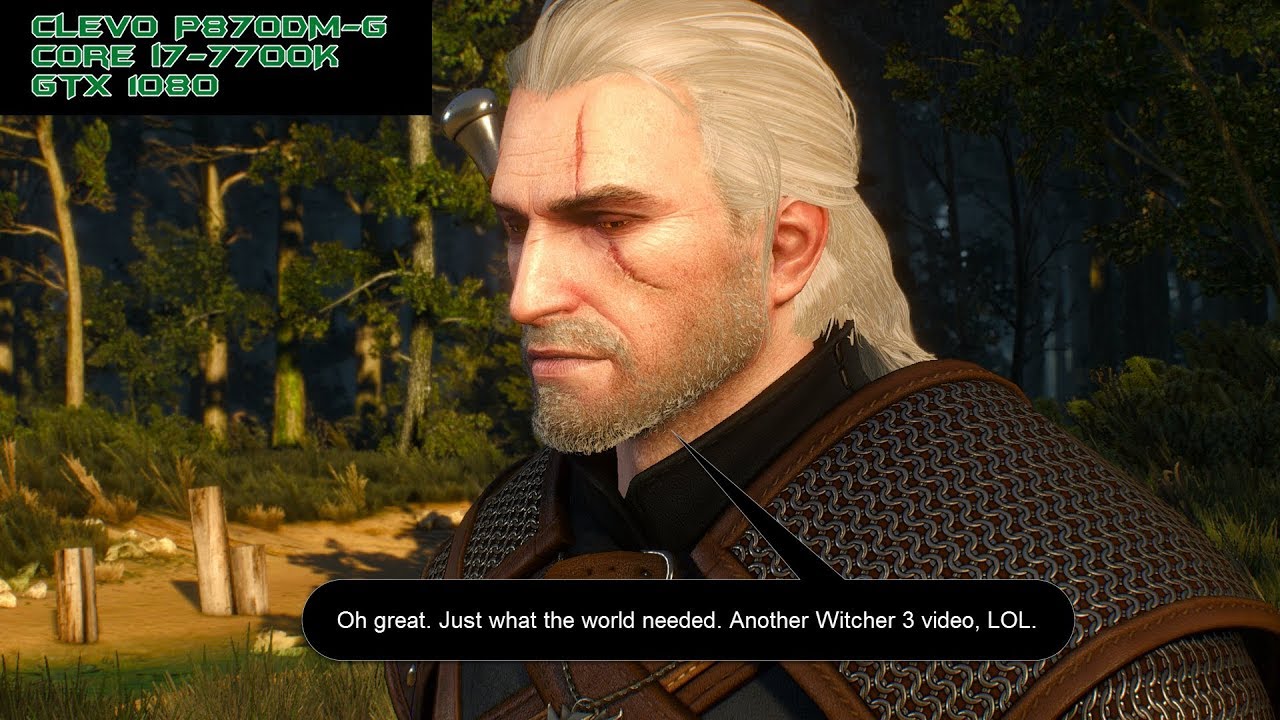 Clevo P870DM-G | GTX 1080 - Witcher 3 Test