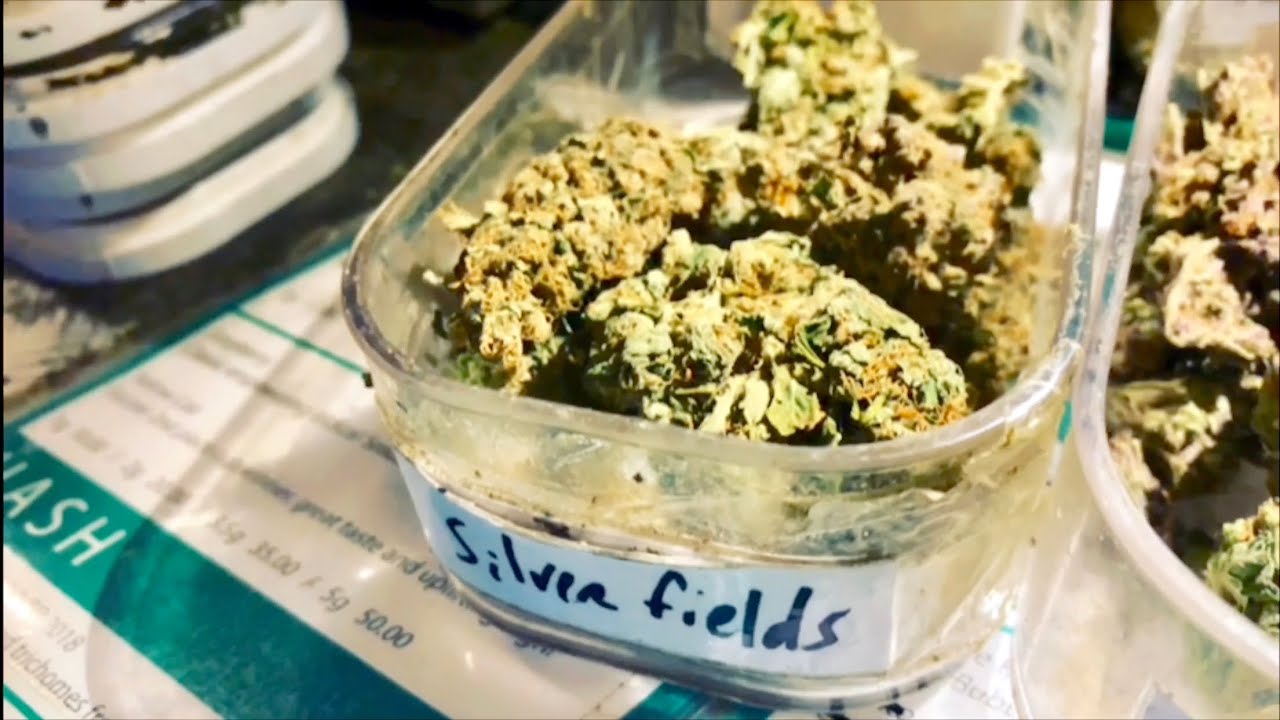 The Top Ten Amsterdam Coffeeshops (2019)