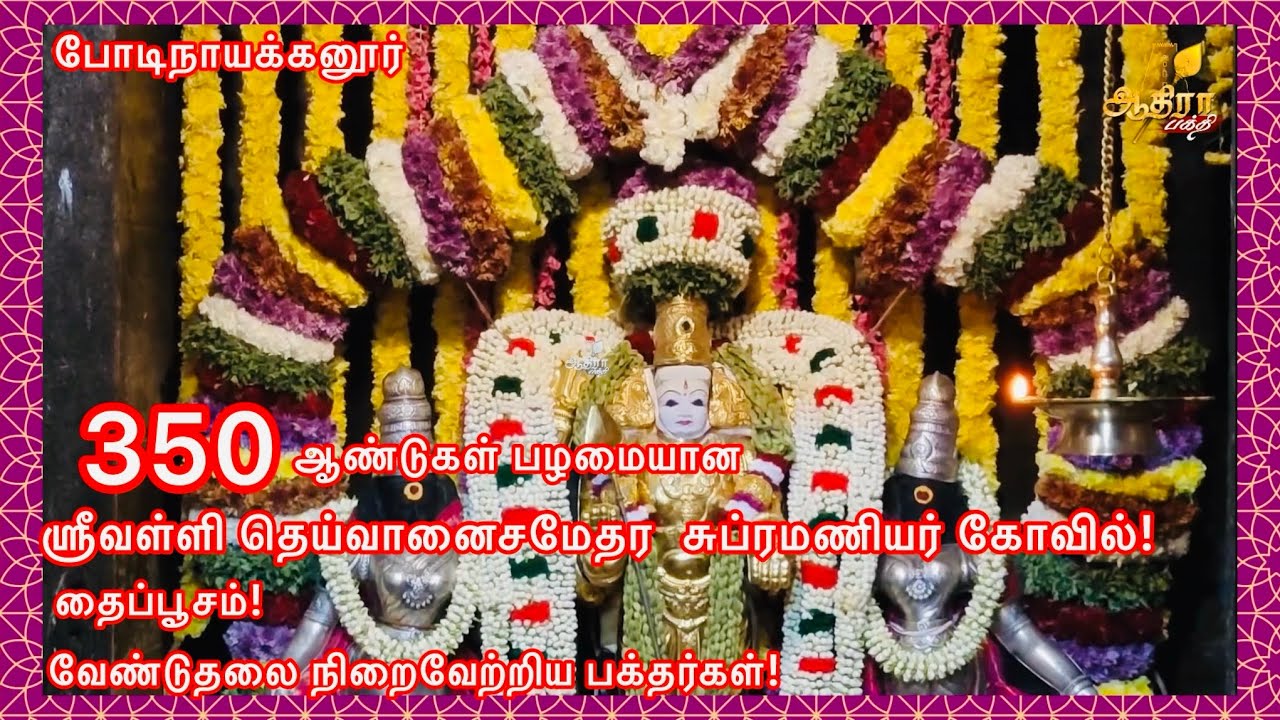போடிநாயக்கனூர் ஶ்ரீவள்ளி தெய்வானைசமேதர  சுப்ரமணியர் கோவில் தைப்பூசம் வேண்டுதலை நிறைவேற்றிய பக்தர்கள்