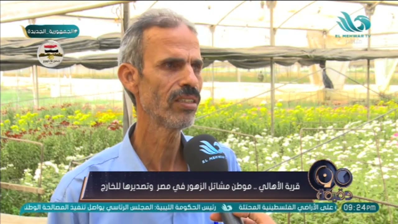 قرية الأهالي.. موطن مشاتل الزهور في مصر وتصديرها للخارج