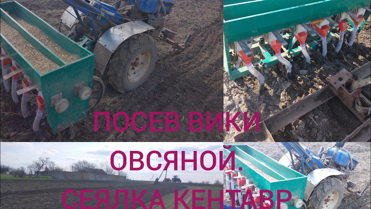 ПОСЕВ ПО ПАХОТЕ СЕЯЛКОЙ КЕНТАВР /ВИКА ОВСЯНАЯ С ЯЧЬМЕНЁМ НА СЕНО/ЭТО ЖЕСТЬ