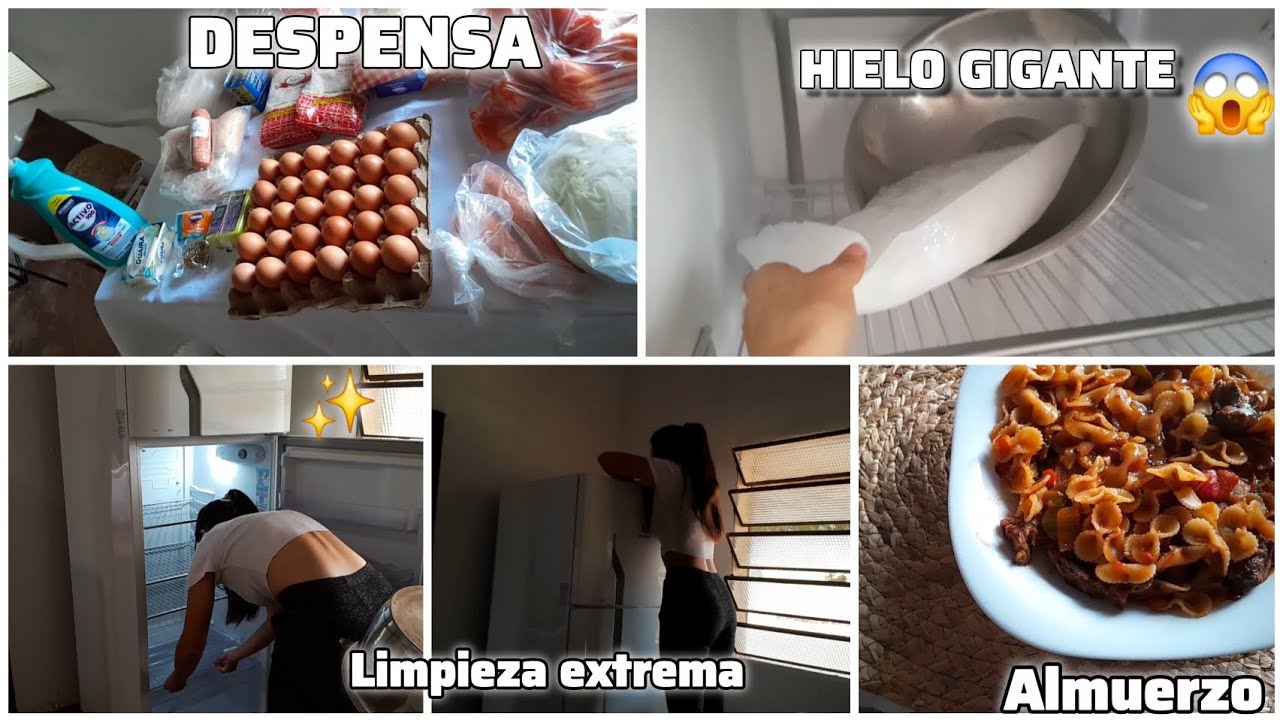 Limpieza extrema a mi nevera 🧼🫧 + Compras y almuerzo