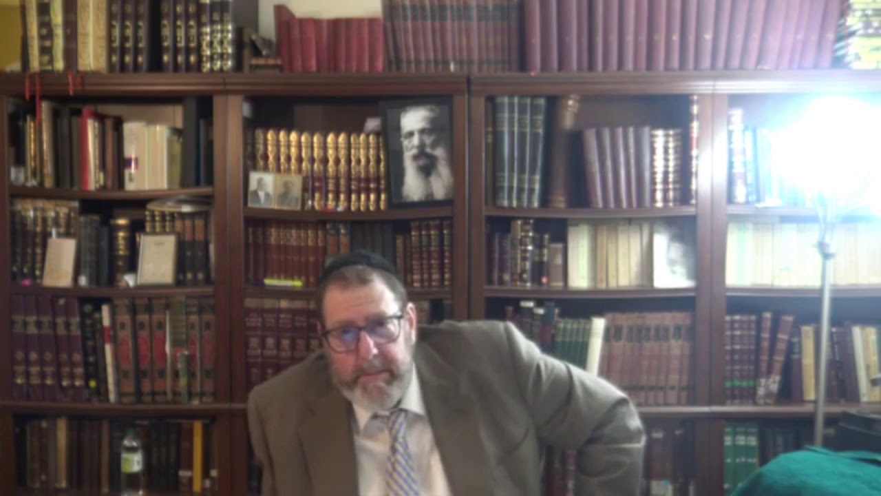 Halachic Aspects of The Dead Sea Scrolls Relating to Purities - by Dr. David B. Levy