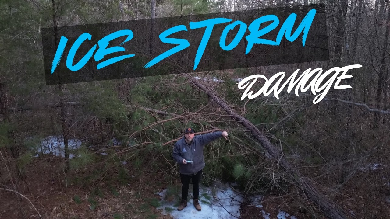 Off-Grid Cabin Access Destroyed by Ice Storm (Cleanup Begins)