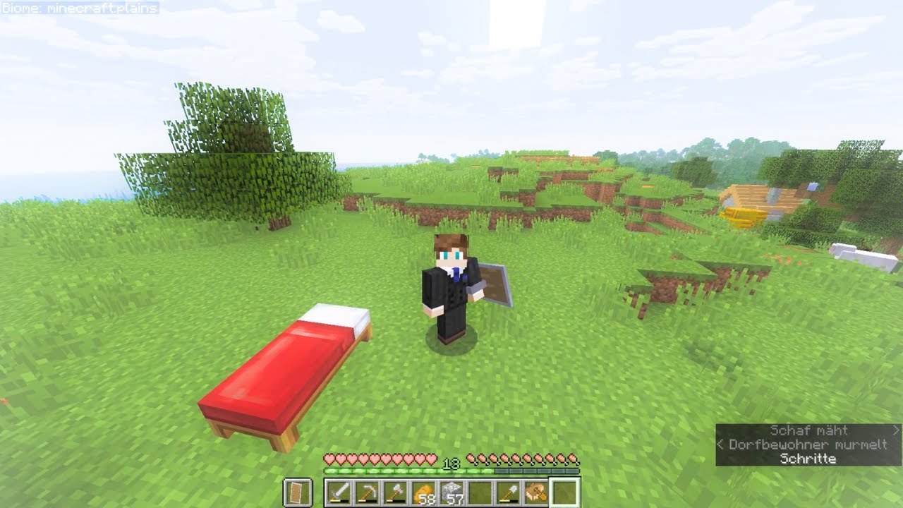 Wo ist Das Biom?/Minecraft/