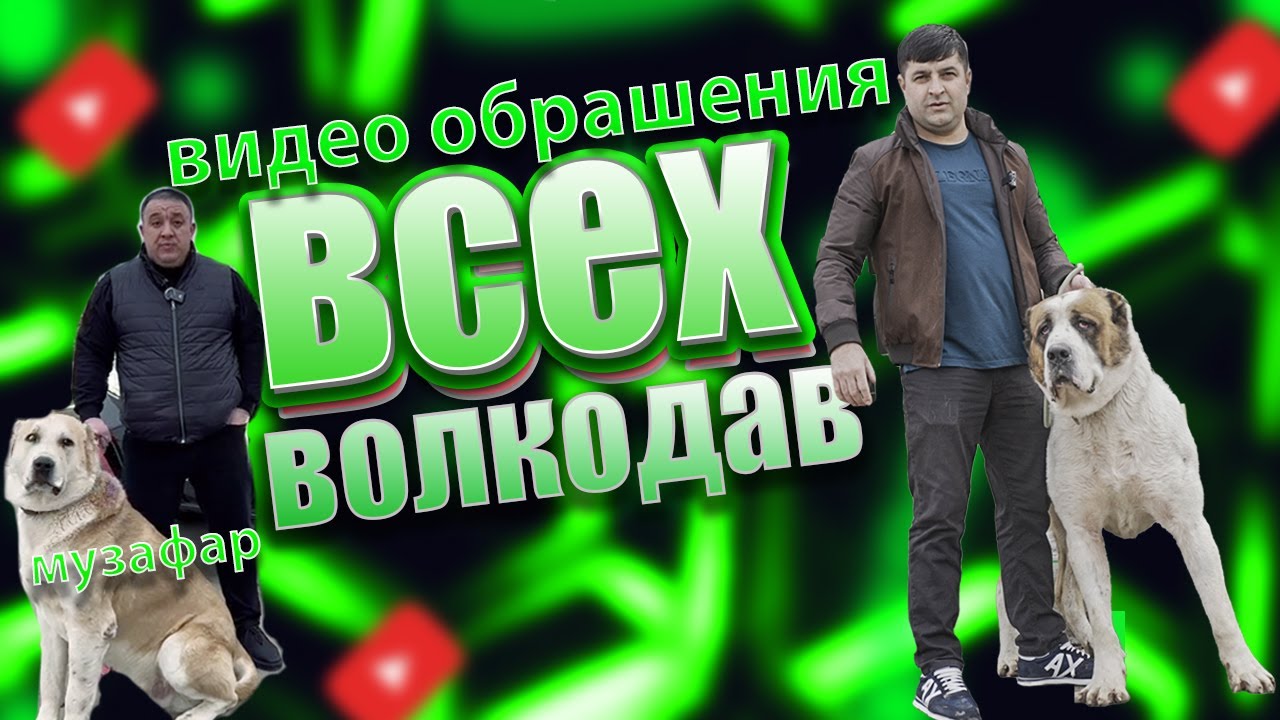 ВИДЕО ОБРАШЕНИЯ ВСЕХ ВОЛКАДОВ