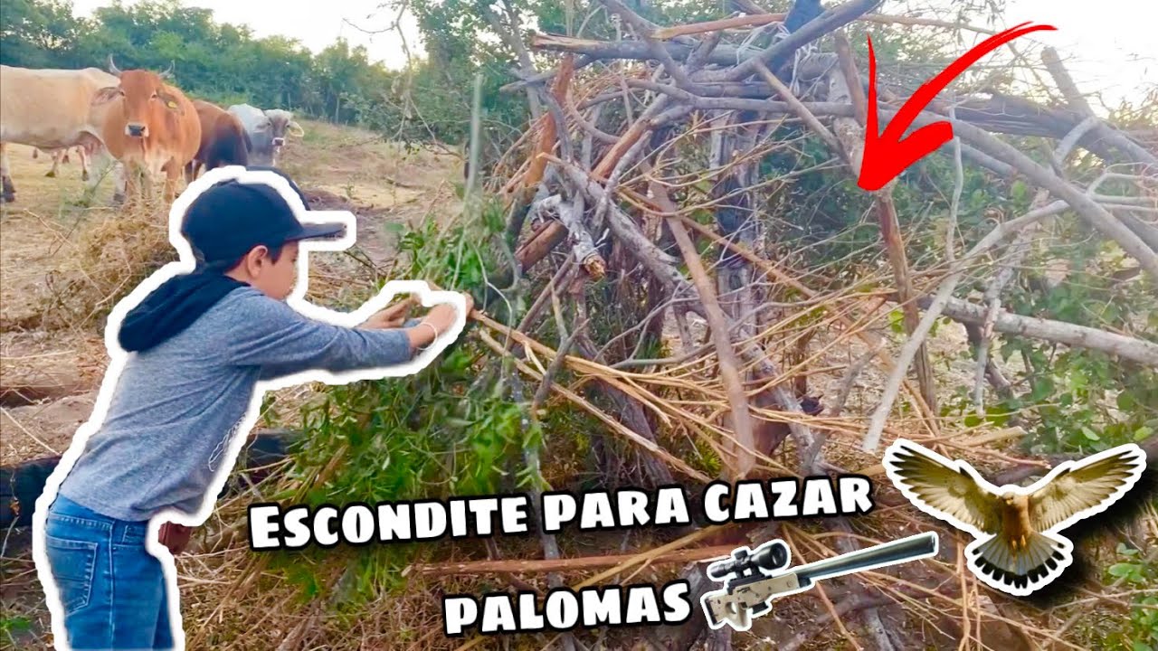 Nos fuimos a CAZAR PALOMAS y te enseñamos cómo hacer un ESCONDITE para CAMUFLARSE  (CARRACA)