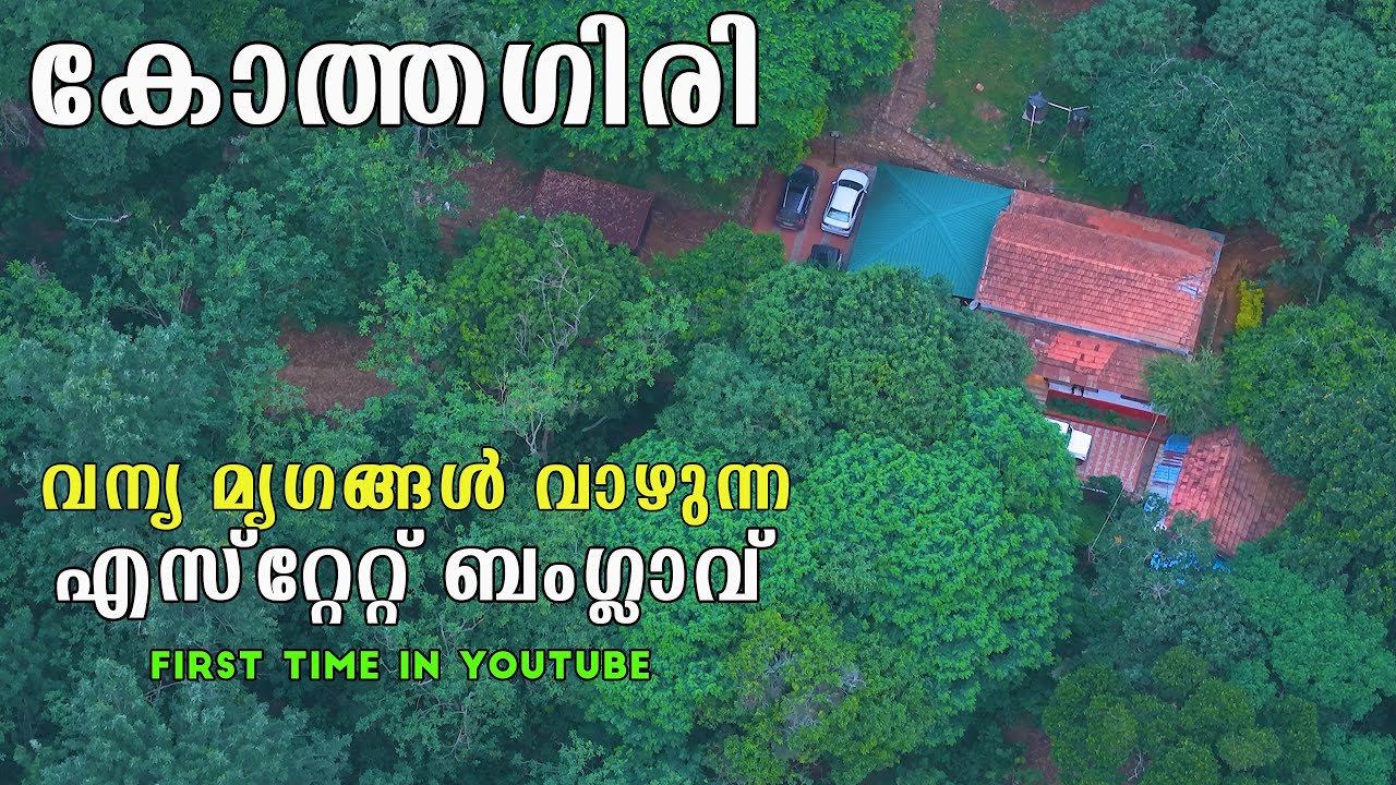 ഊട്ടിയിലെ കാടും കാടൻ കാഴ്ച്ചകളും | Kokode resort | Kil Kotagiri