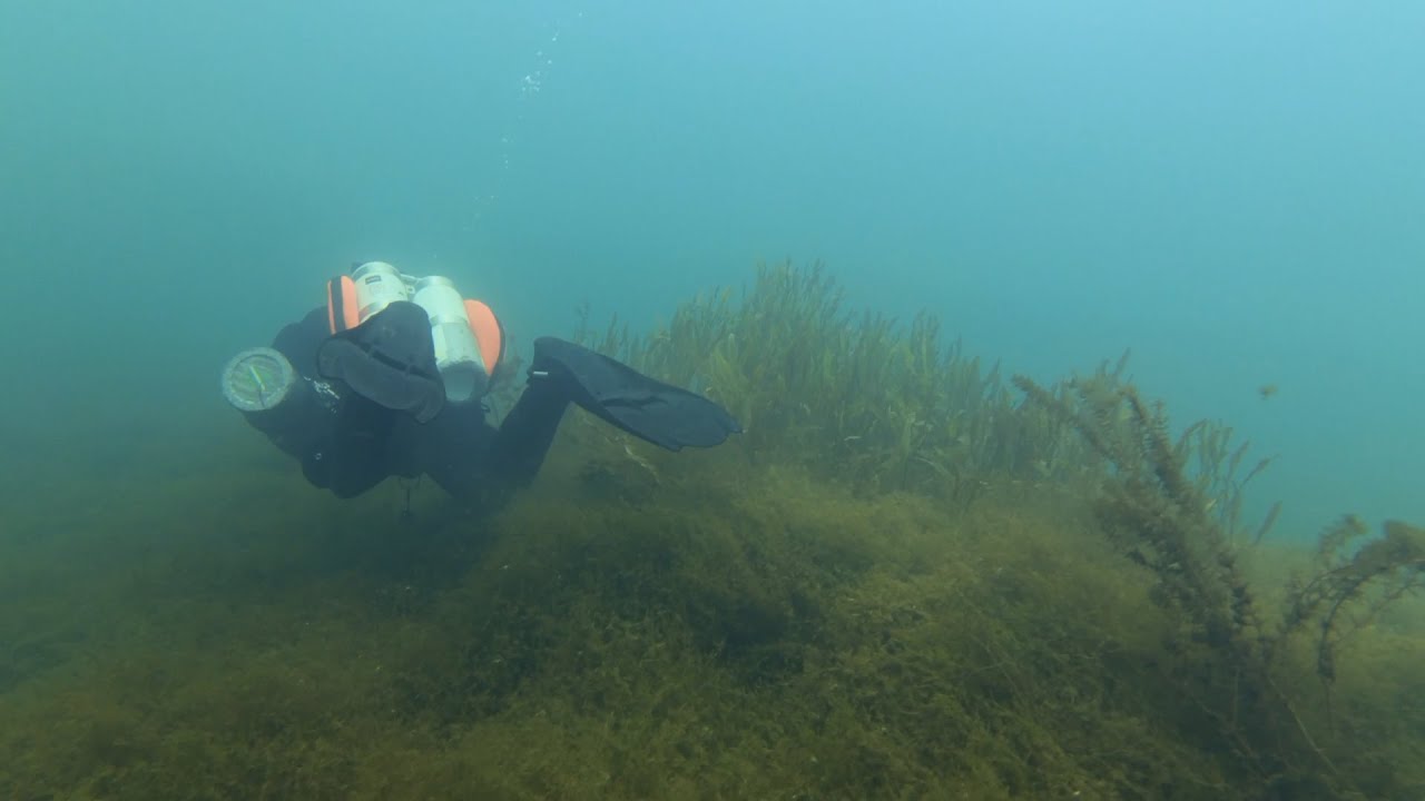 Jezero Medard dno, část 1 (28.9.2024)