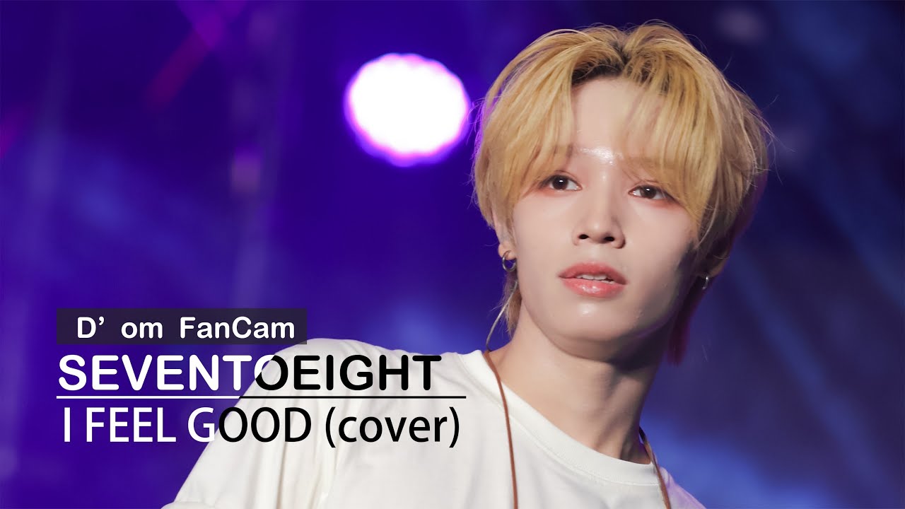 20250628 [Star Park K-POP Carnival Music Festival] I FEEL GOOD｜cover (D’om FanCam)