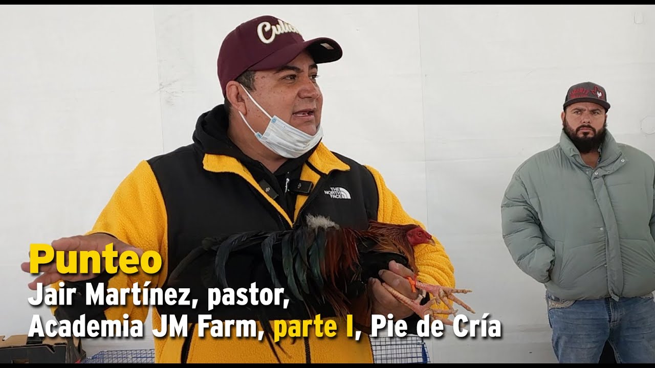 Punteo, Jair Martínez, pastor, Academia JM Farm, parte I, Pie de Cría