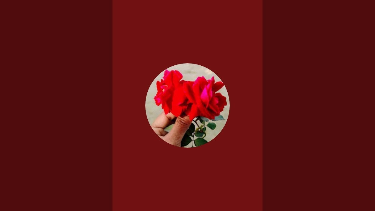 chhoti  Rajput 123 is live