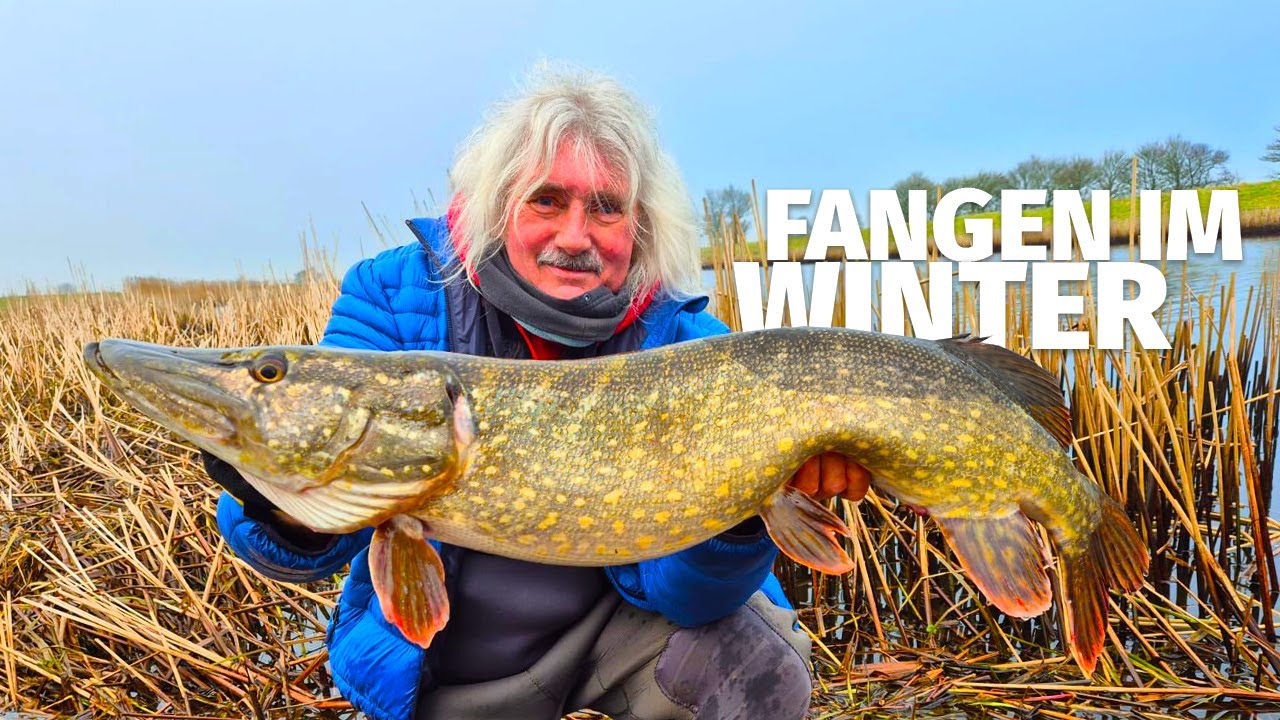 FLUSSANGELN im WINTER - HECHT & ZANDER Tagebuch mit J&Ouml;RG OVENS - Fang mal was