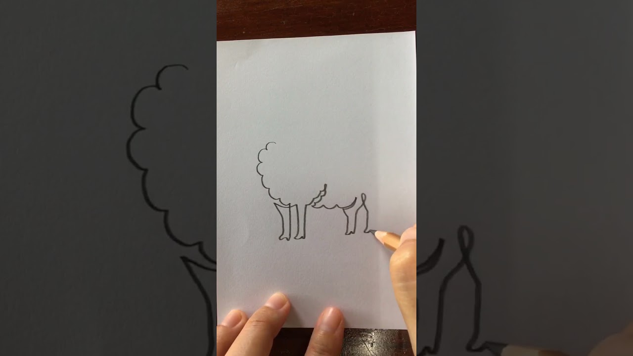 How to draw a sheep - One stroke drawing #onestrokedrawing #sheep