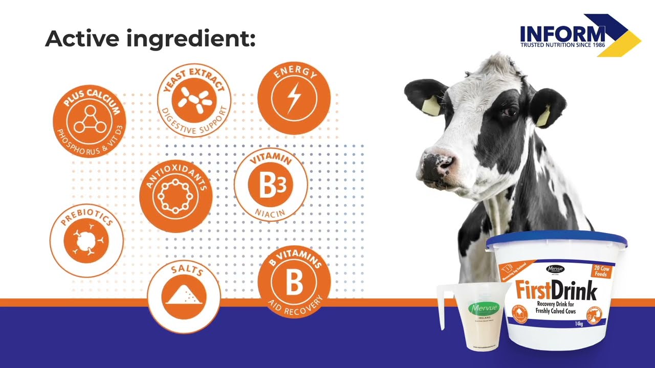 First Drink - Recovery drink for freshly calved cows