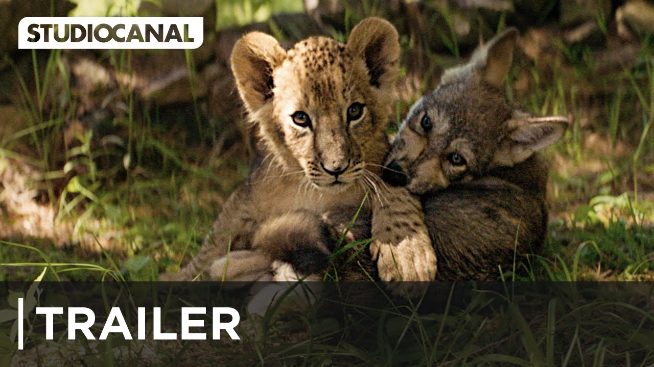 DER WOLF UND DER LÖWE | Trailer Deutsch | Ab 17. März 2022 im Kino