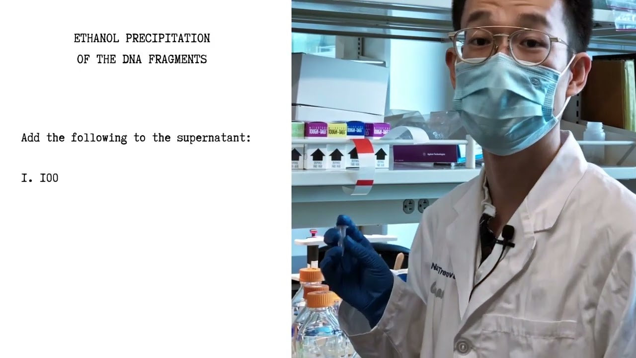 Tretyakova Lab • Methylated DNA Immunopreciptation