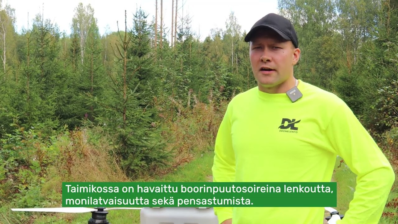 Kasvuhäiriöt kuriin boorilla
