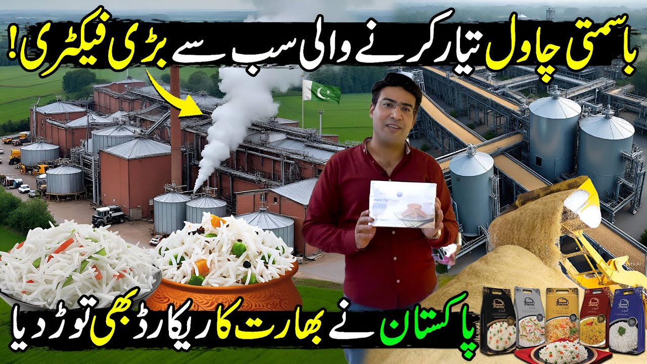 New Record of Pakistan | Modern Rice Agriculture Technology | How Tons of Rice Harvested & Processed