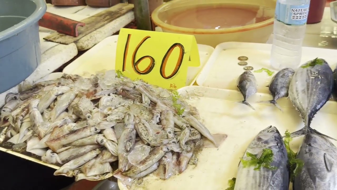 The Sights and Sounds of the Public Market at Dumaguete, Negros Oriental, Philippines
