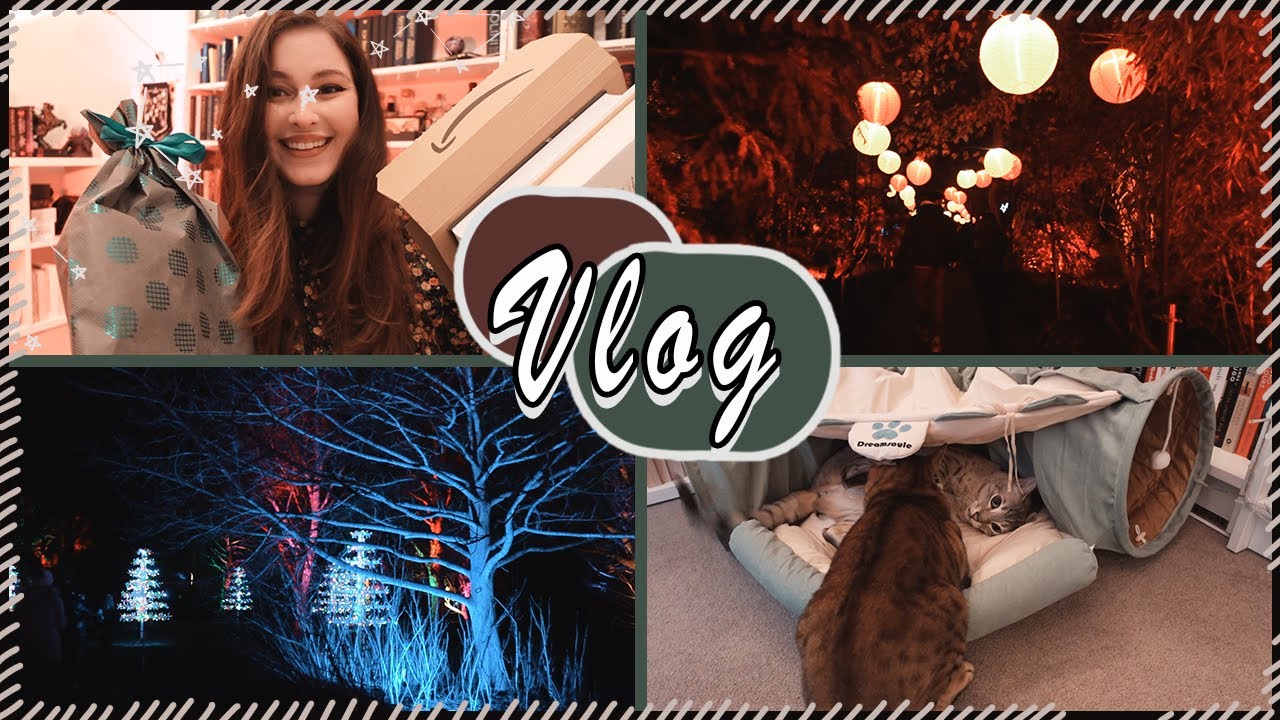 Visiting Edinburgh Christmas Garden, Book Mail & Cat Content  | Book Roast