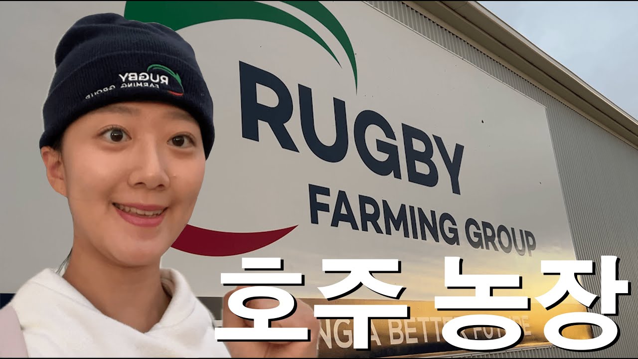 [호주워홀] 호주농장 출근일지ㅣ호주 럭비팜