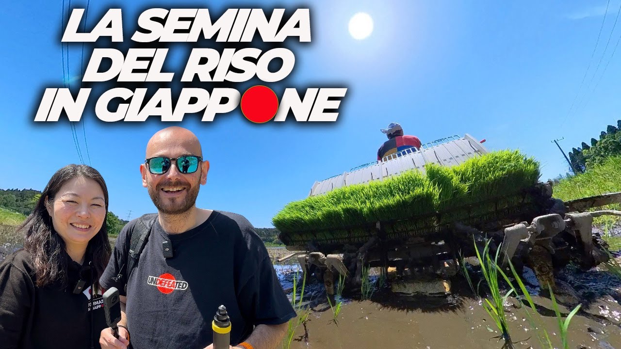 CAMPAGNA GIAPPONESE - LA SEMINA DEL RISO IN GIAPPONE - Insta360 X3