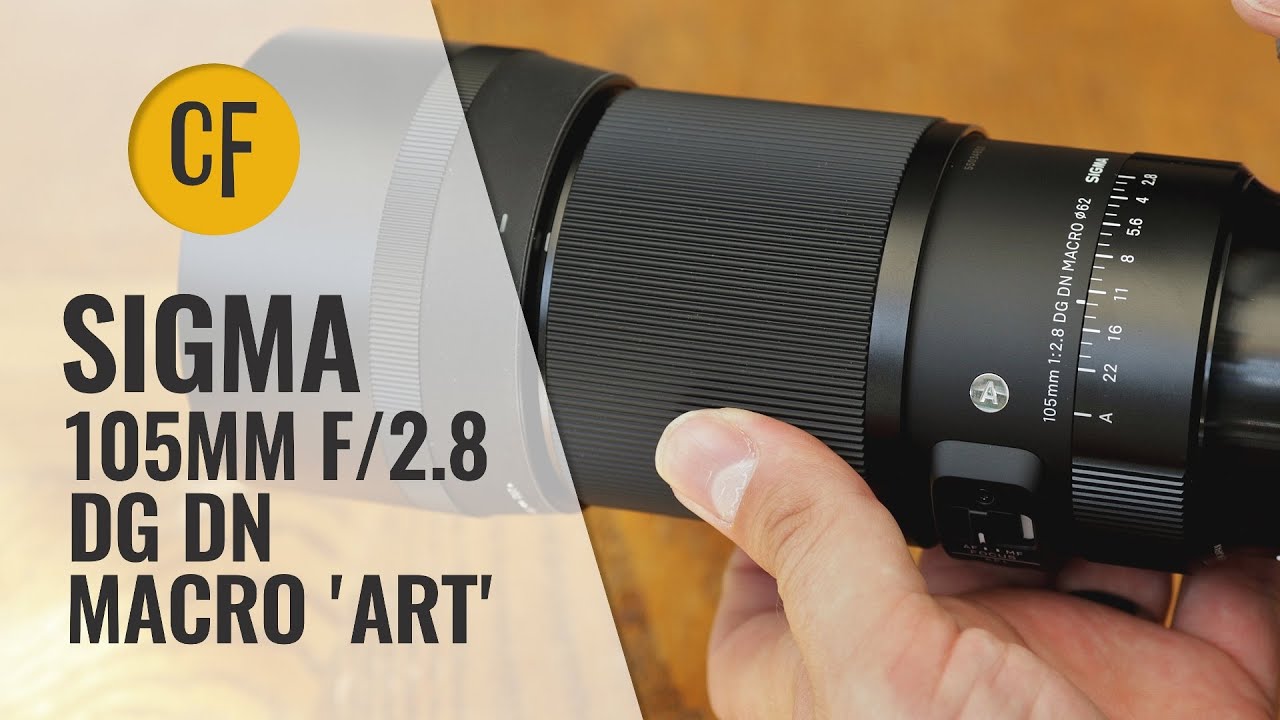 Обзор объектива Sigma 105mm f/2.8 DG DN Macro 'Art' (полнокадровый и APS-C)