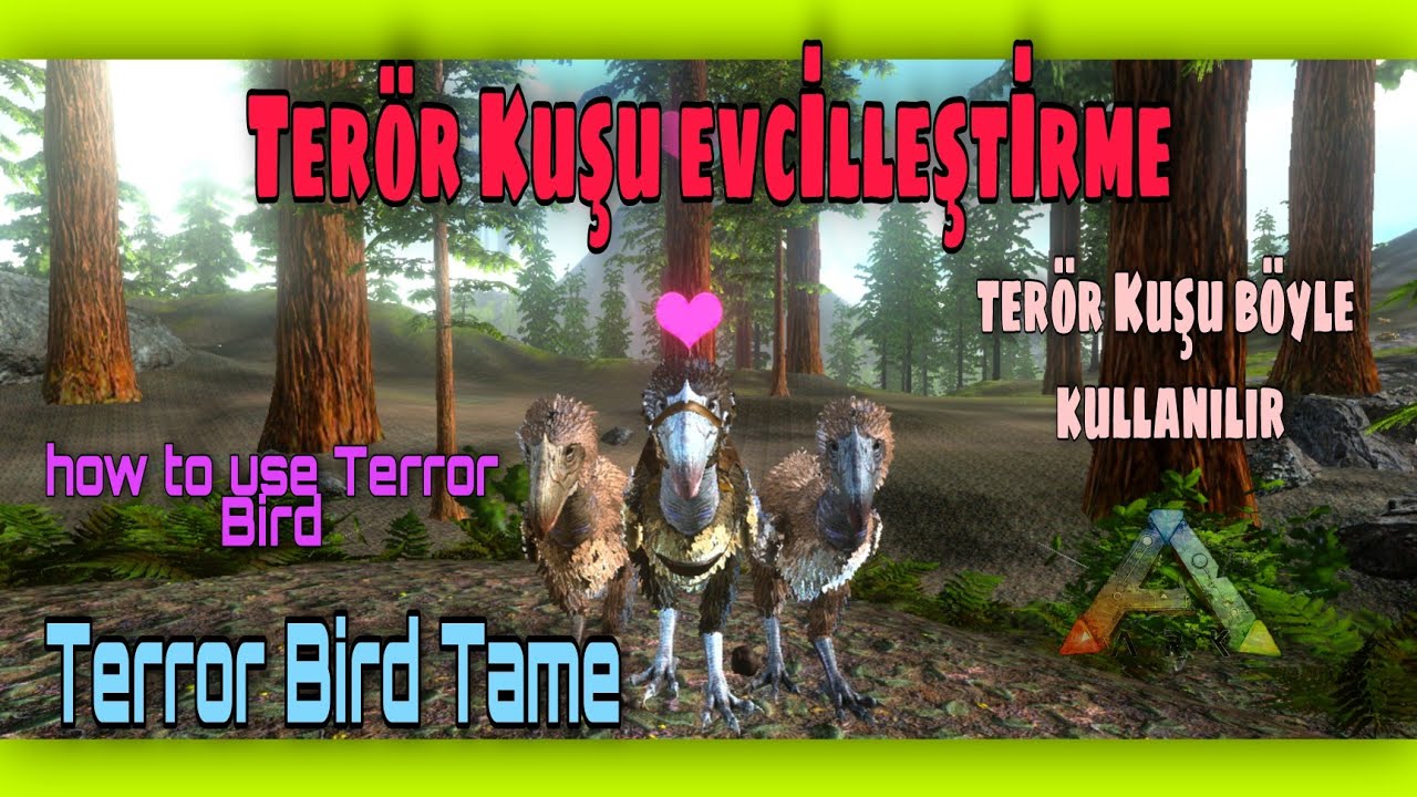 İSMİNİN HAKKINI VEREN DİNO | TERÖR KUŞU EVCİLLEŞTİRME |Ark Survival Evolved Mobile| Terror Bird Tame