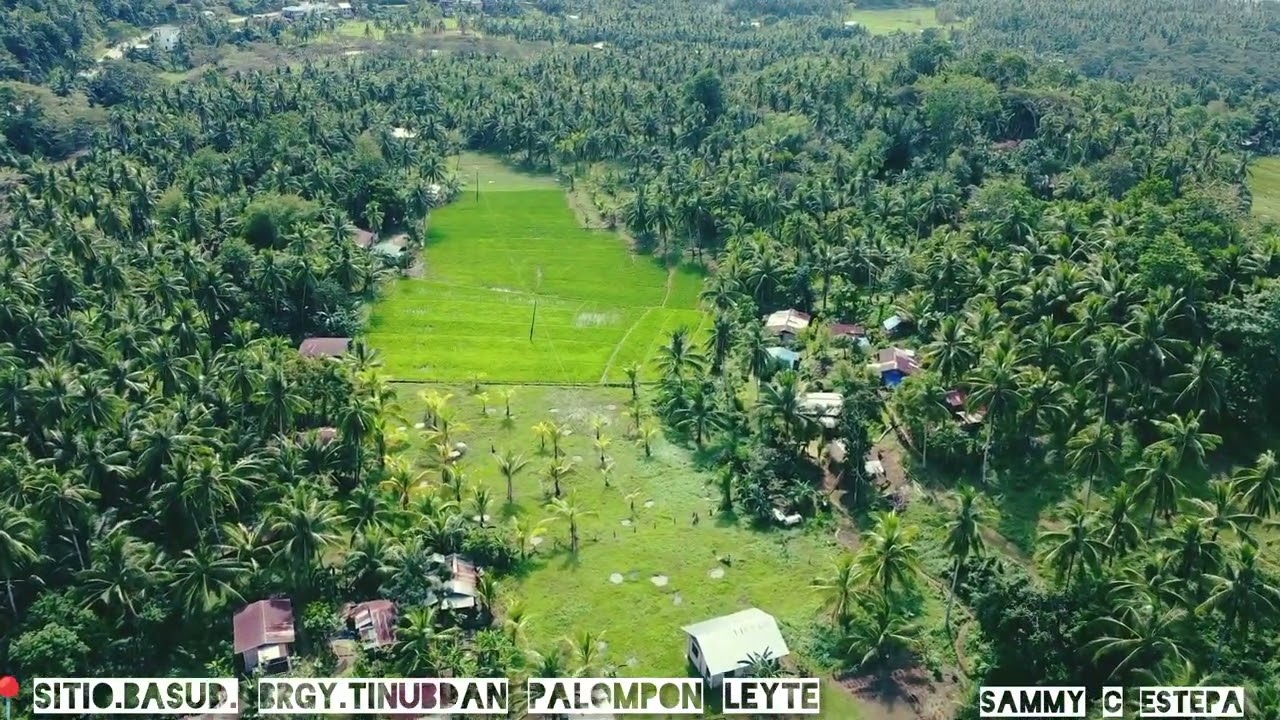 📍Sitio. basud.brgy.tinubdan palompon leyte.