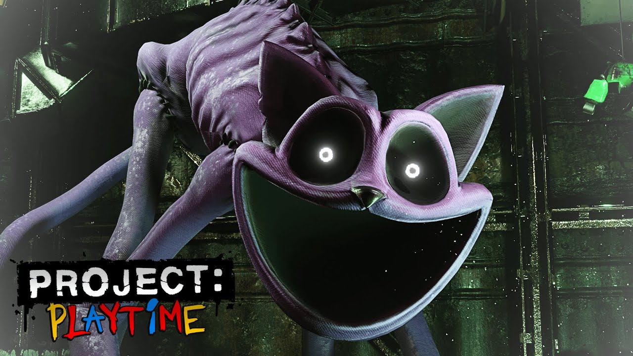 🐈 Catnap In Phase 4 | Project: Playtime