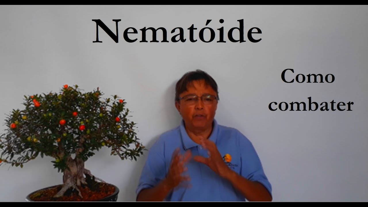 Nematóide