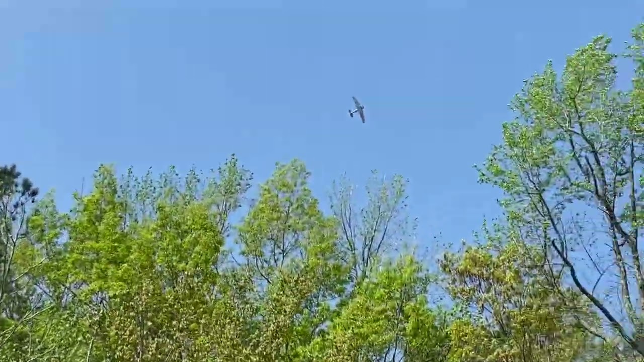 Watching airplanes in Wakefield VA