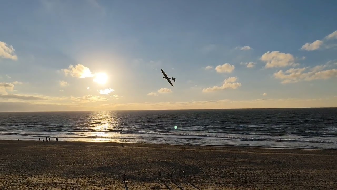 Ahi on Texel