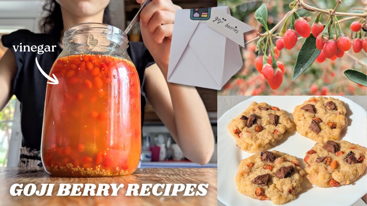 making GOJI BERRY vinegar from scratch 🍒🍃 (+ other easy recipes and ideas)