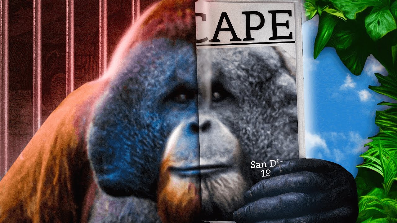 The Ape That Couldn&rsquo;t Be Contained