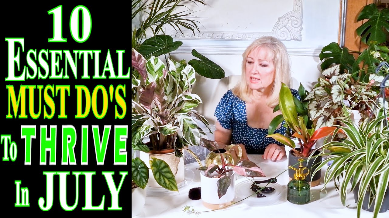 10 ESSENTIAL Houseplant MUST DO's in JULY that Keep Your Houseplants THRIVING & Lush