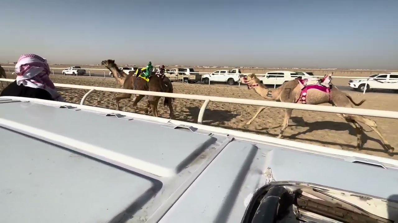 ٤ بدران ملك محمد بن عبد الله الفهيده