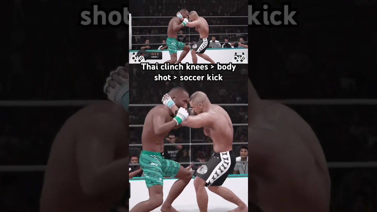 UFC Undisputed Forever can be so brutal