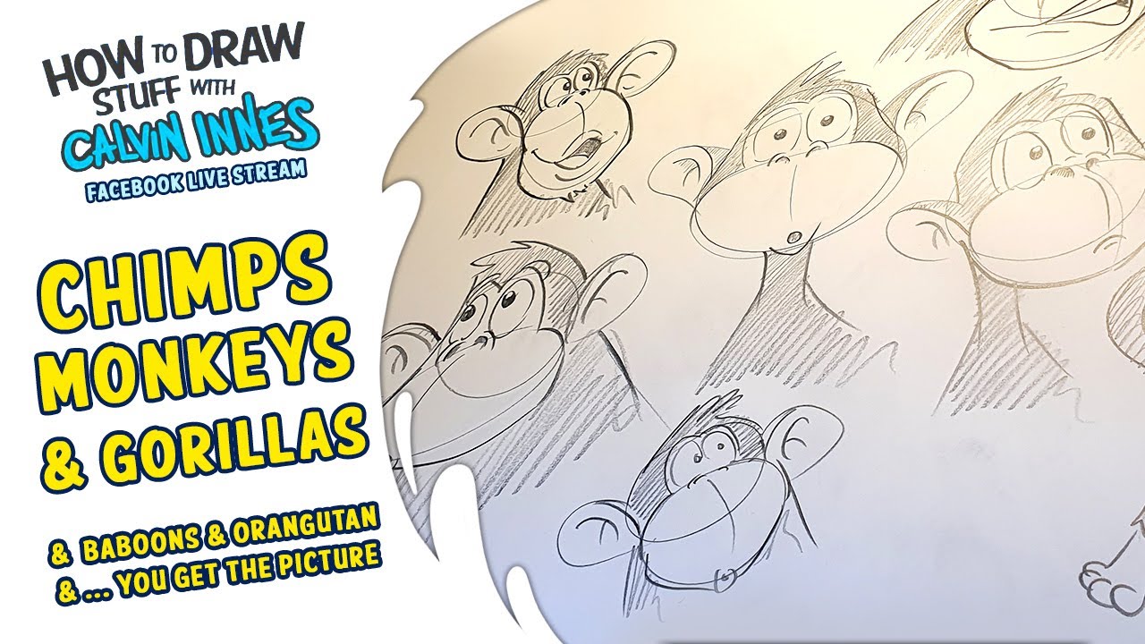 How To Draw Stuff With Calvin Innes - Chimps, Monkeys & Gorillas