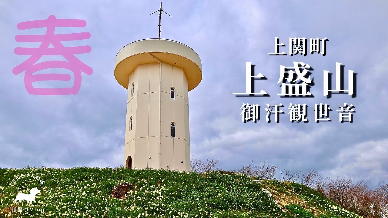 【夫婦登山】河津桜と白い灯台。歩いて見て知る島の春【上盛山】しま山100選