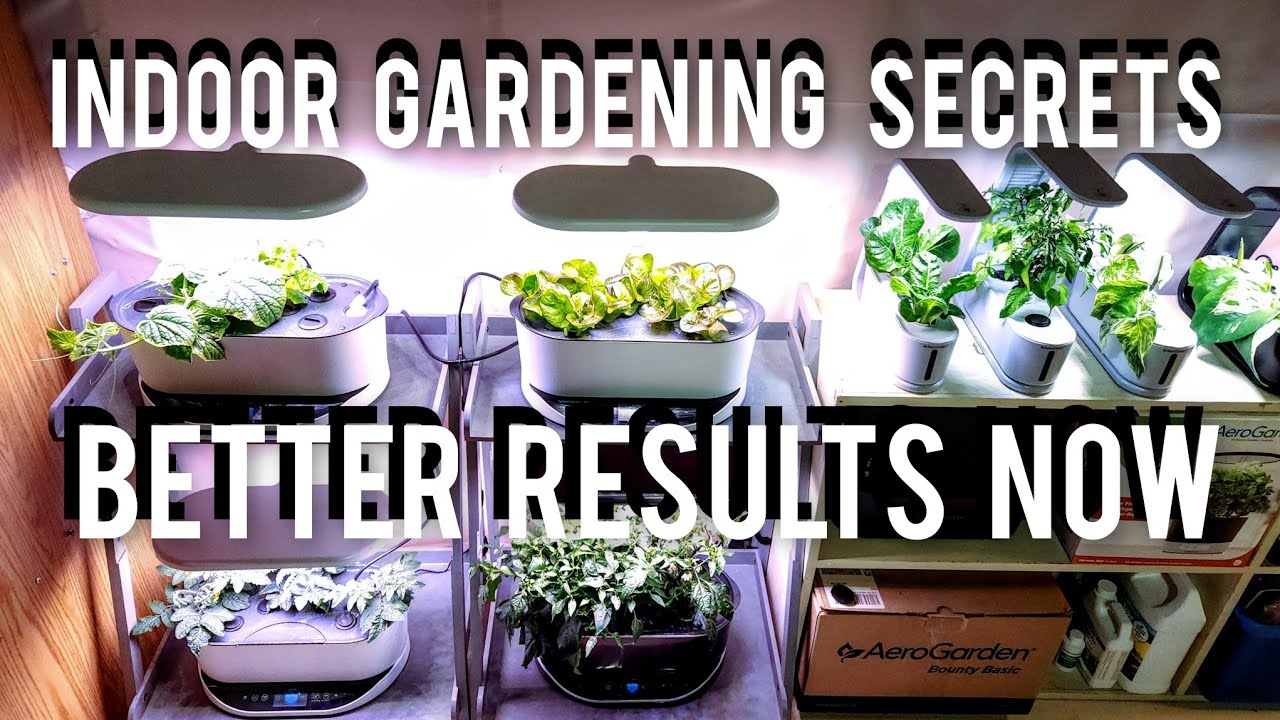 INDOOR GARDEN SECRETS - MY MUST KNOW TIPS