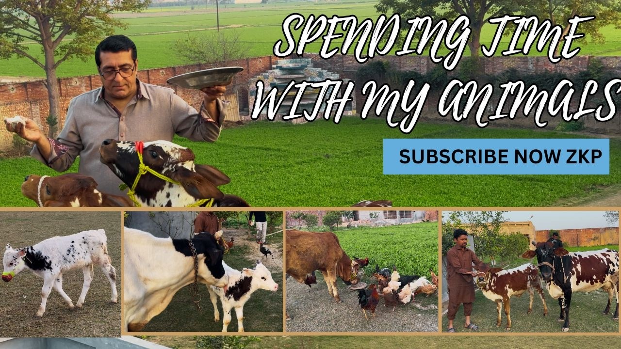 Pinki chintu mintu aur chitu ke sath time spend |