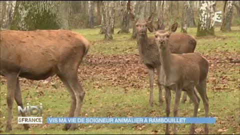 Vis ma vie de soigneur animalier à Rambouillet