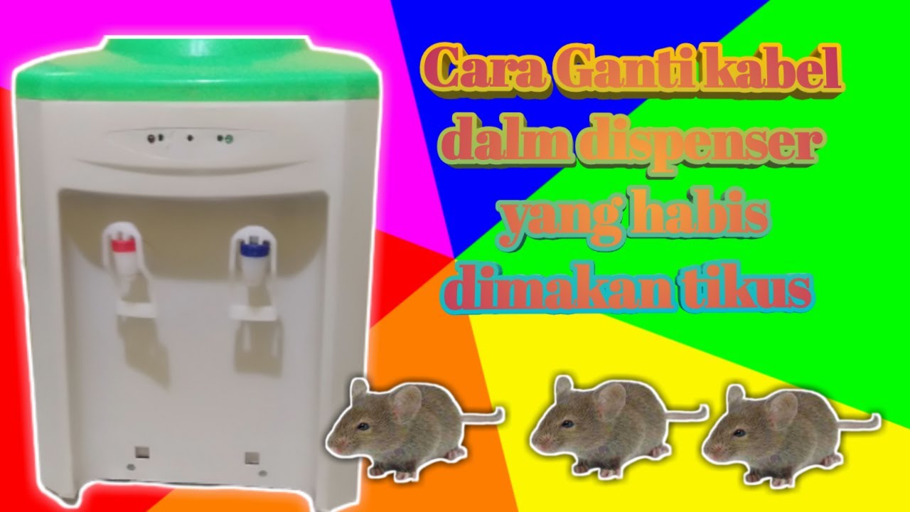 Cara menganti kabel dalam dispenser yang habis di makan tikus