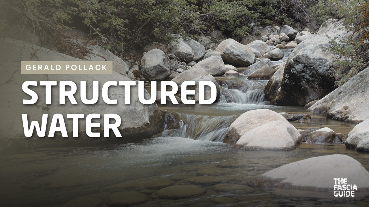 How Structured Water Powers Life: Gerald Pollack Interview | Fascia Guide